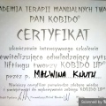 Powiększ obraz: certificate 15