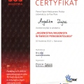 Powiększ obraz: certificate 2