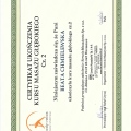 Powiększ obraz: certificate 5