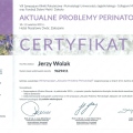 Powiększ obraz: certificate 7