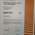 Powiększ obraz: certificate 5
