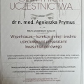 Powiększ obraz: certificate 13