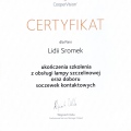Powiększ obraz: certificate 5