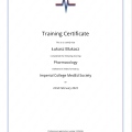 Powiększ obraz: certificate 247