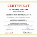 Powiększ obraz: certificate 7