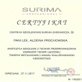 Powiększ obraz: certificate 19