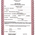 Powiększ obraz: certificate 1