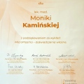 Powiększ obraz: certificate 10