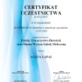 Powiększ obraz: certificate 1