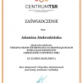 Powiększ obraz: certificate 2