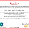 Powiększ obraz: certificate 1