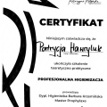 Powiększ obraz: certificate 2