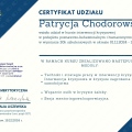 Powiększ obraz: certificate 11