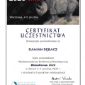 Powiększ obraz: certificate 9