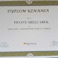 Powiększ obraz: certificate 5