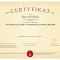 Powiększ obraz: certificate 1