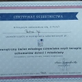 Powiększ obraz: certificate 7