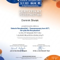 Powiększ obraz: certificate 12