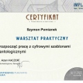 Powiększ obraz: certificate 9