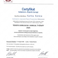 Powiększ obraz: certificate 2