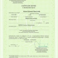 Powiększ obraz: certificate 28