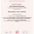 Powiększ obraz: certificate 3