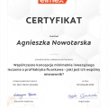 Powiększ obraz: certificate 8