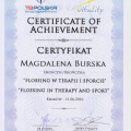 Powiększ obraz: certificate 6