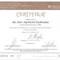 Powiększ obraz: certificate 13