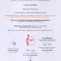 Powiększ obraz: certificate 9