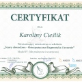 Powiększ obraz: certificate 10