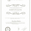 Powiększ obraz: certificate 26