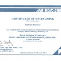 Powiększ obraz: certificate 5