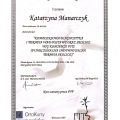 Powiększ obraz: certificate 3