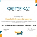 Powiększ obraz: certificate 4