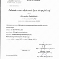 Powiększ obraz: certificate 3