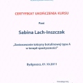 Powiększ obraz: certificate 7