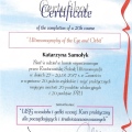 Powiększ obraz: certificate 6