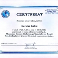 Powiększ obraz: certificate 10