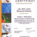 Powiększ obraz: certificate 10