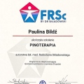 Powiększ obraz: certificate 3