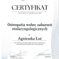 Powiększ obraz: certificate 7