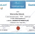 Powiększ obraz: certificate 2