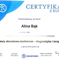 Powiększ obraz: certificate 3