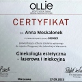 Powiększ obraz: certificate 1