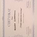 Powiększ obraz: certificate 8