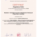 Powiększ obraz: certificate 15