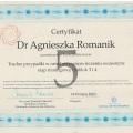 Powiększ obraz: certificate 8