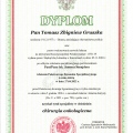 Powiększ obraz: certificate 1