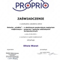 Powiększ obraz: certificate 31